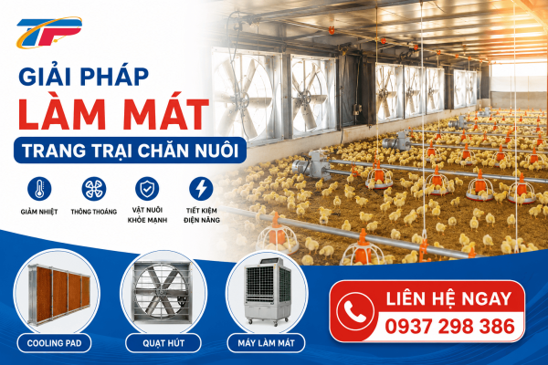 Làm mát trang trại chăn nuôi