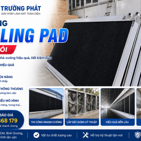 Thi công cooling pad trọn gói